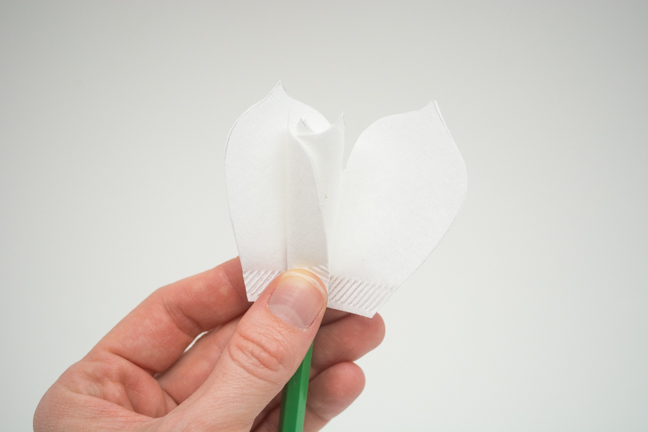 white paper flower petals