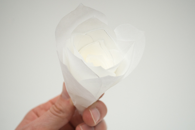white paper rose