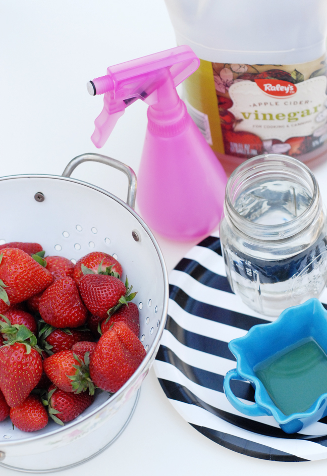 strawberries pink spray bottle mason jar