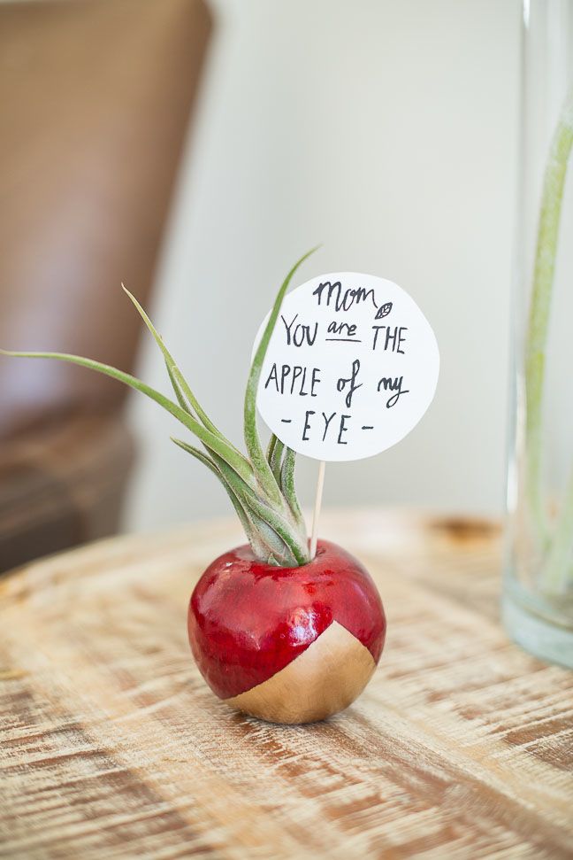 apple-air-plant-mothers-day-diy-gift-planter-gold-red