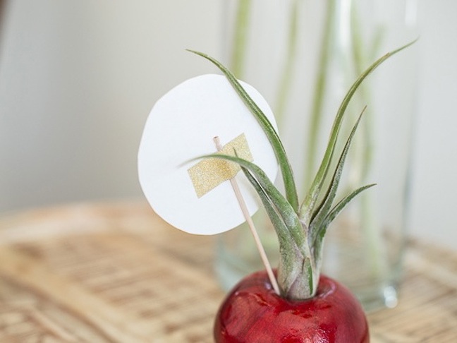 apple-air-plant-mothers-day-diy-gift-planter-gold-red