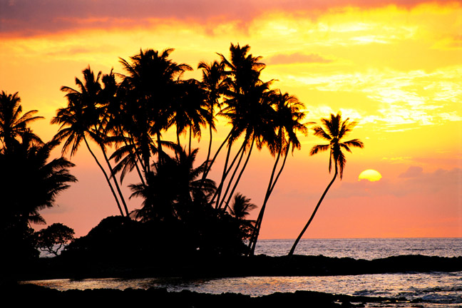 Hawaii, Big Island, Wailua bay, view of palm trees at sunset, calm ocean waters