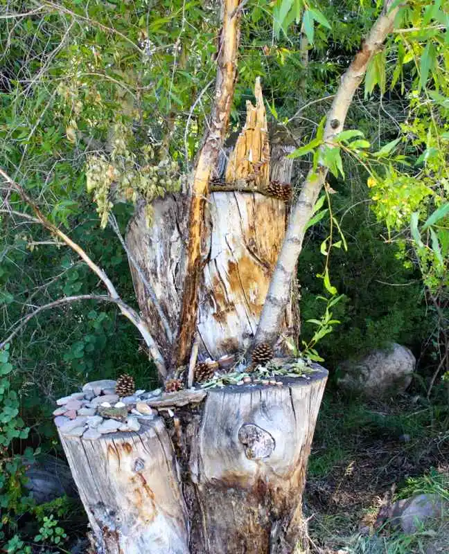 fairy-house-rocks-nature-tree-stones-kids-outdoor-activity