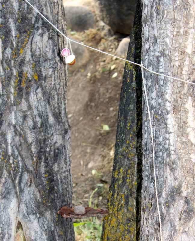 fairy-house-zipline-seashell-string-tree-kid-activity-outdoors