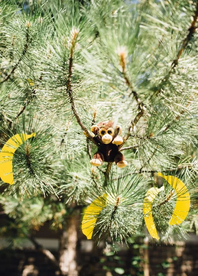 stuffed-animal-monkey-tree-paper-bananas