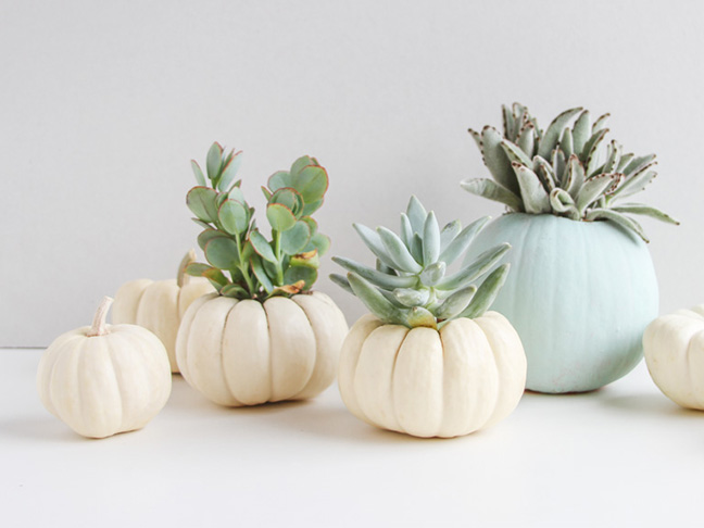 DIY Mini Pumpkin Planters