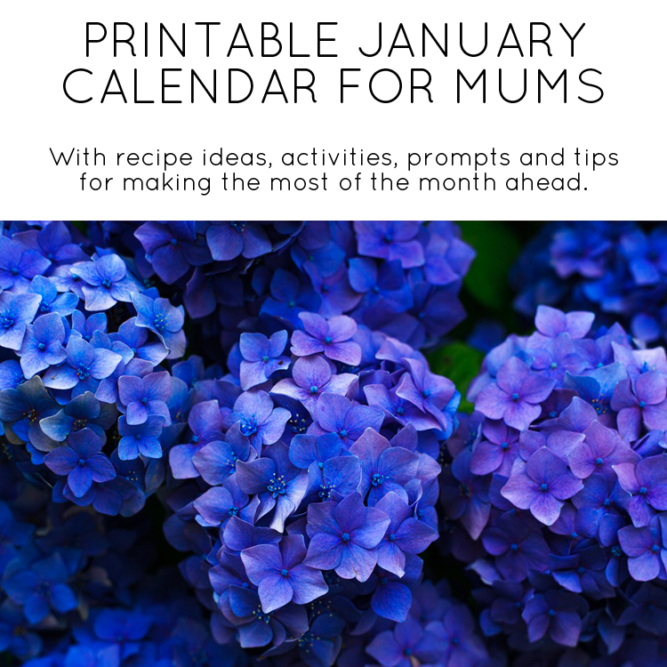 January calendar for mums