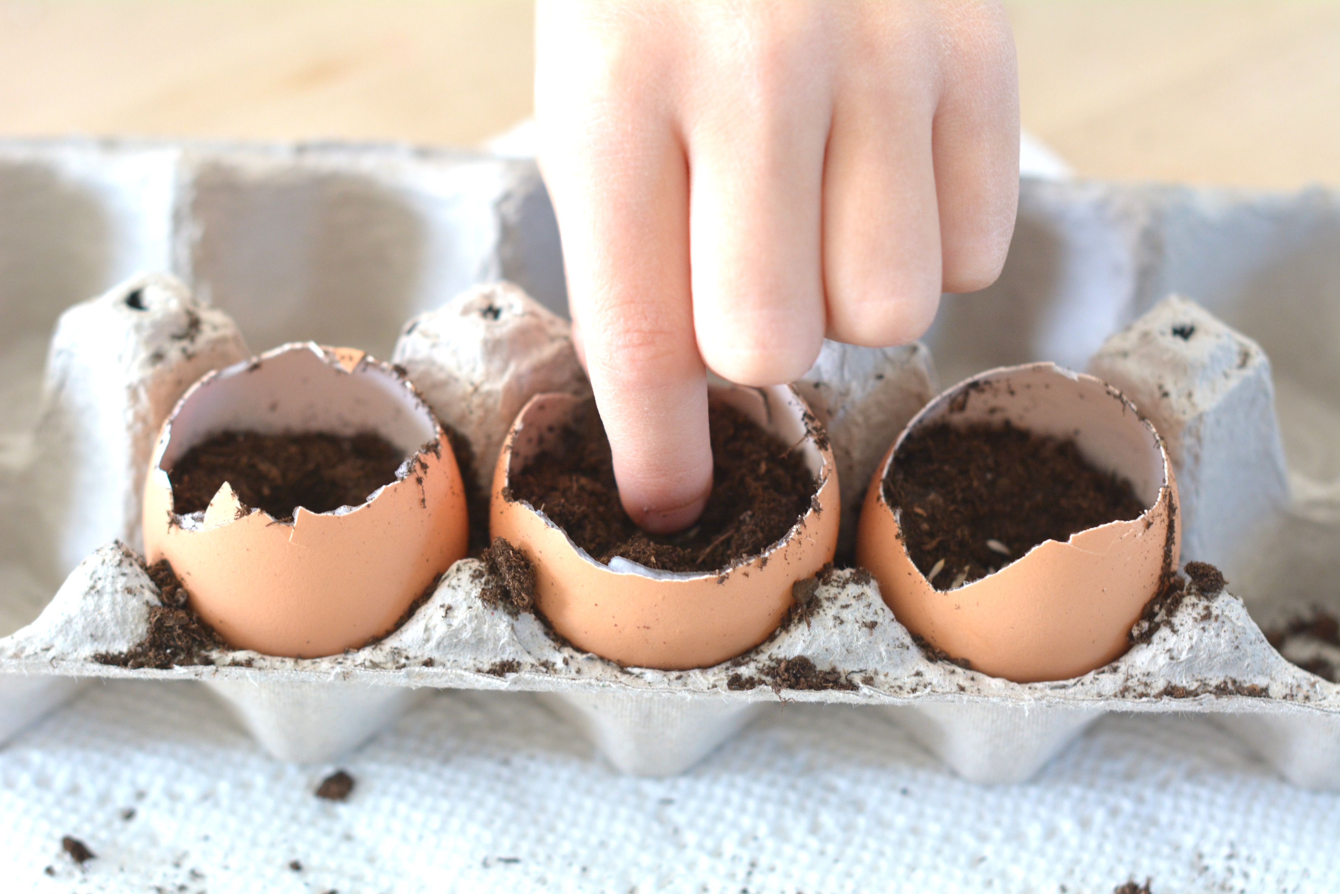 soil eggshells fingers