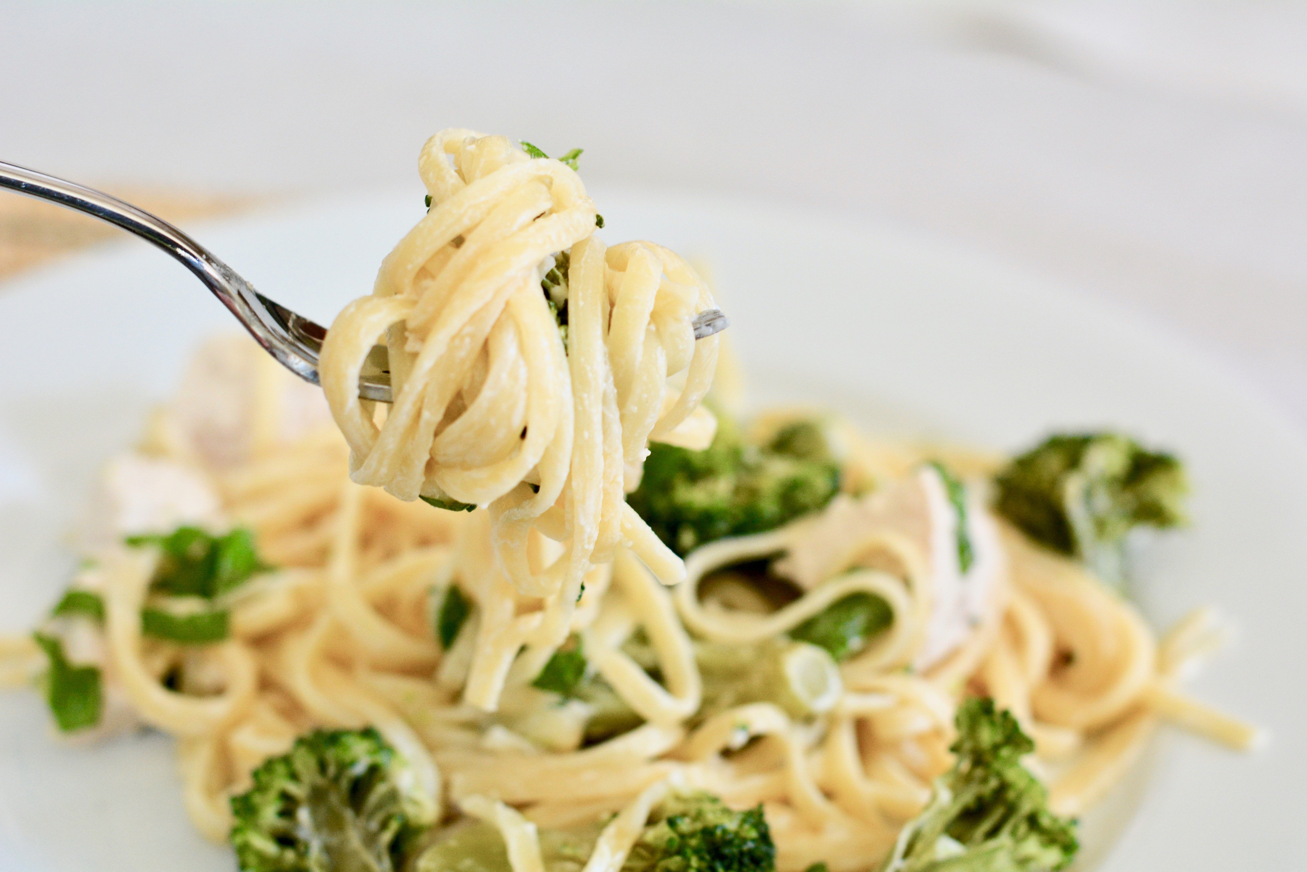 Chicken Alfredo Pasta