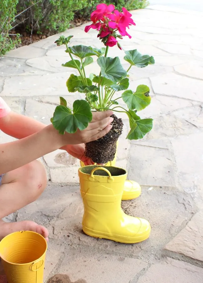 planting-a-flower-inside-a-yellow-rain-boot