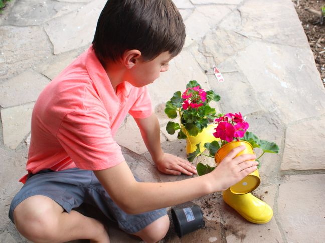 boy-planting-a-plant-inside-yellow-rain-boots