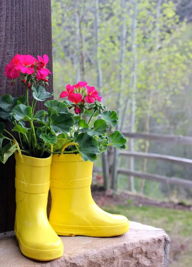 diy-yellow-rain-boot-planter