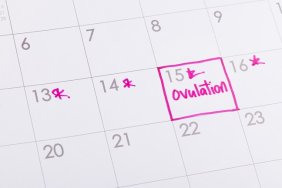 When Do You Ovulate?