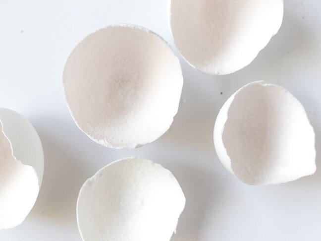 Grow Geodes at Home for Less than $5 with Egg Shells