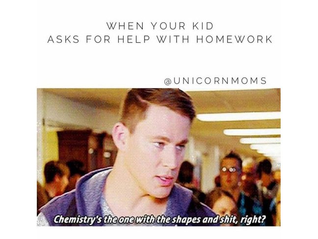 homework kid meme