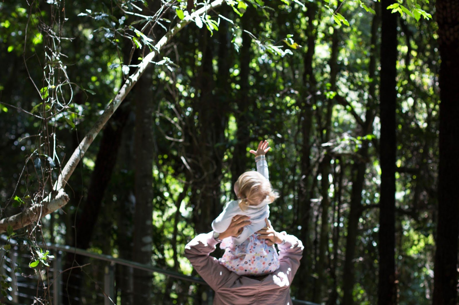 A Family Day Out At Scenic World