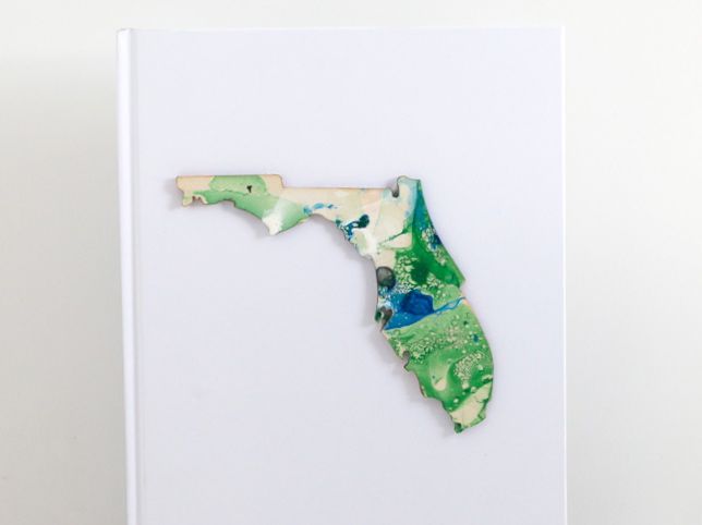 green-and-blue-marbled-state-of-florida-cut-out