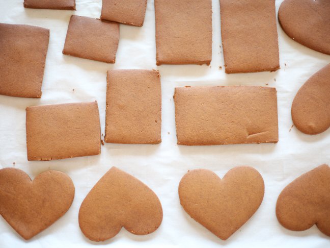 Gingerbread cookie pieces