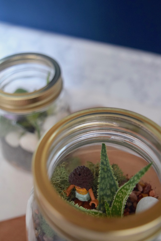 DIY Kid-Friendly Mason Jar Terrariums