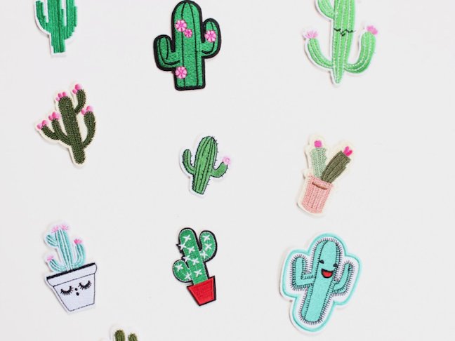 How To Make A Tote-ally Cool DIY Cactus Tote That Won’t Poke You