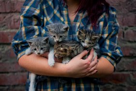I thought I was a pet person