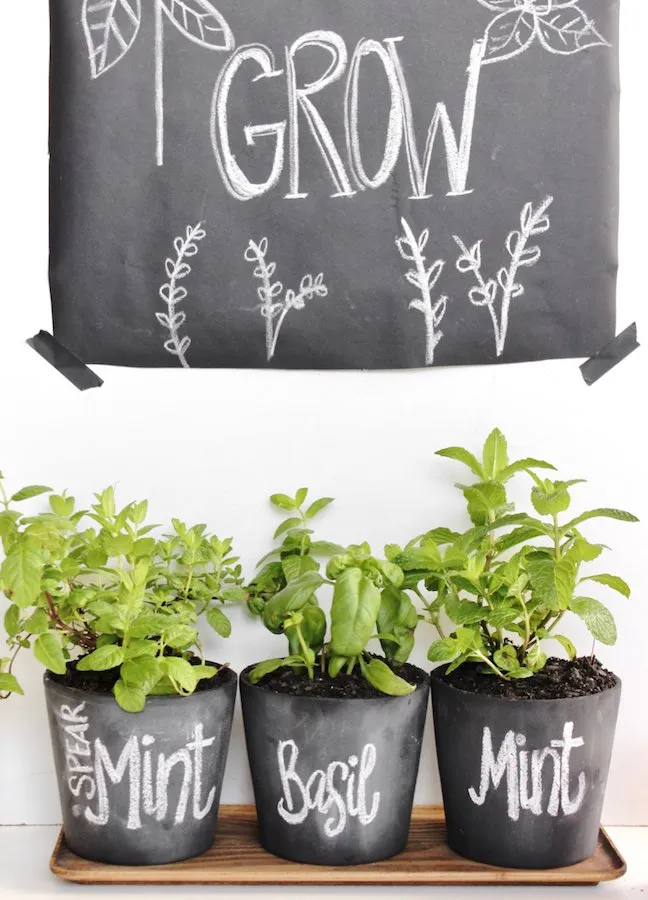 These DIY Chalkboard Planters Make It So Easy To Label Plants