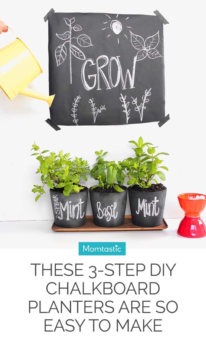 These 3-Step DIY Chalkboard Planters Are So Easy to Make