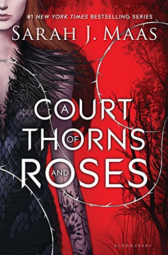 Tingle Books You Should Read to Get You in the Mood This Valentine's Day by @letmestart for @itsMomtastic featuring A COURT OF THORNS AND ROSES