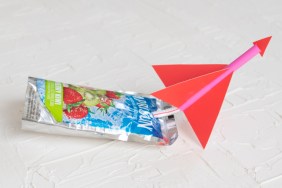 egg drop project best design