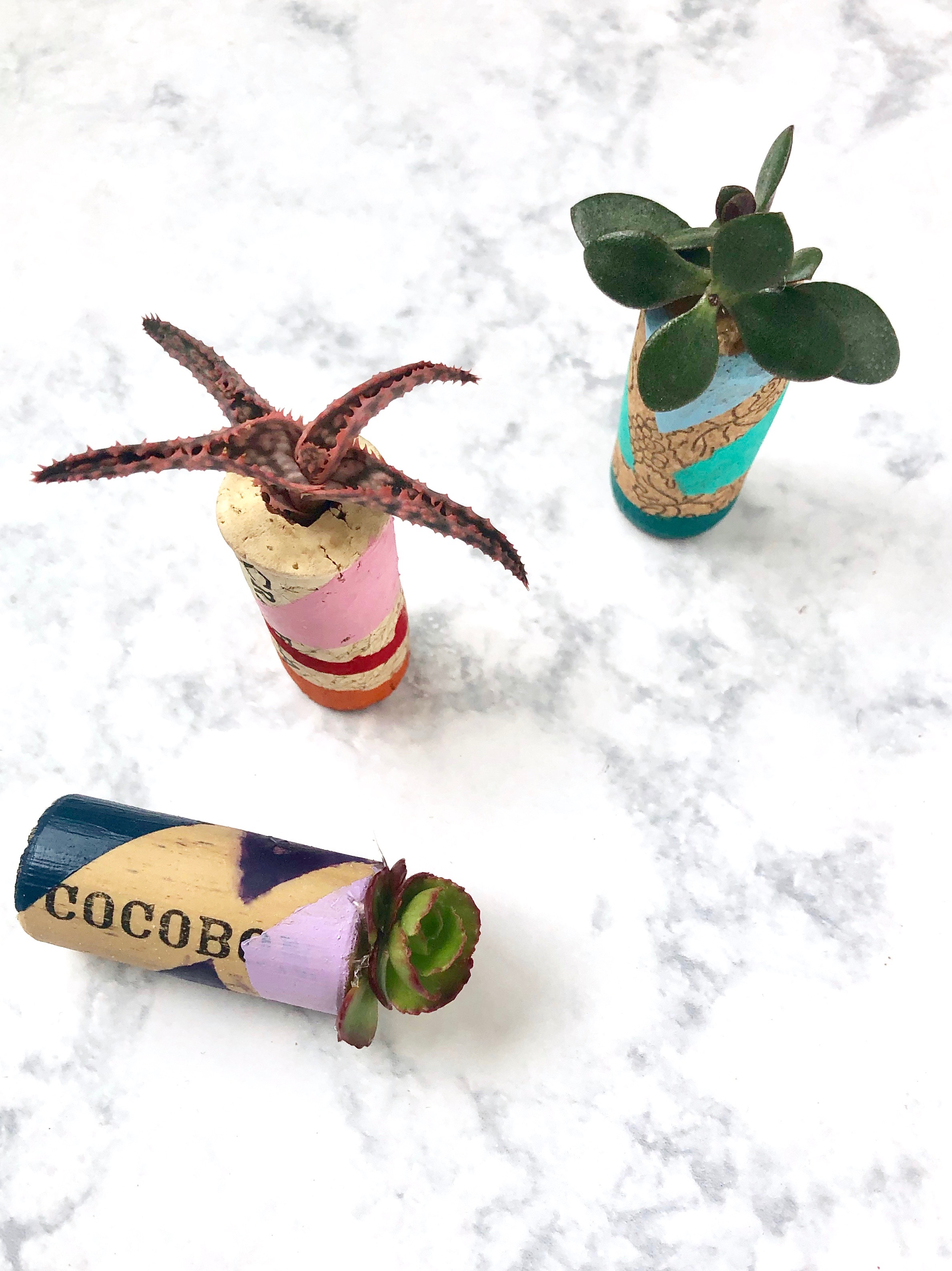 DIY Wine Cork Mini Planters