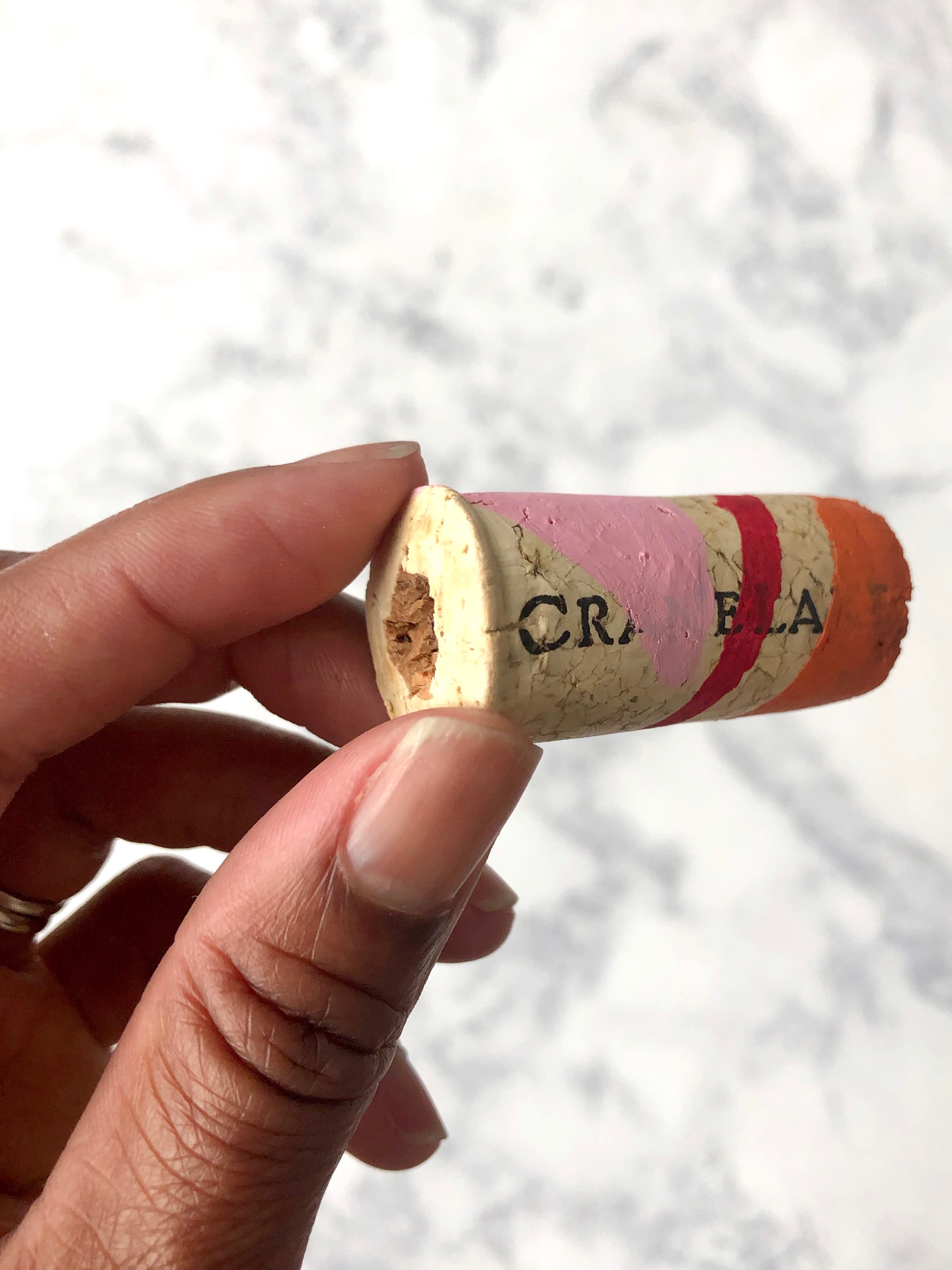 DIY Wine Cork Mini Planters