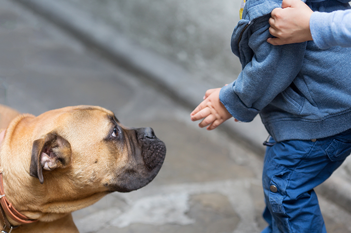 Cynophobia? How to Help Your Kid Overcome Their Fear of Dogs