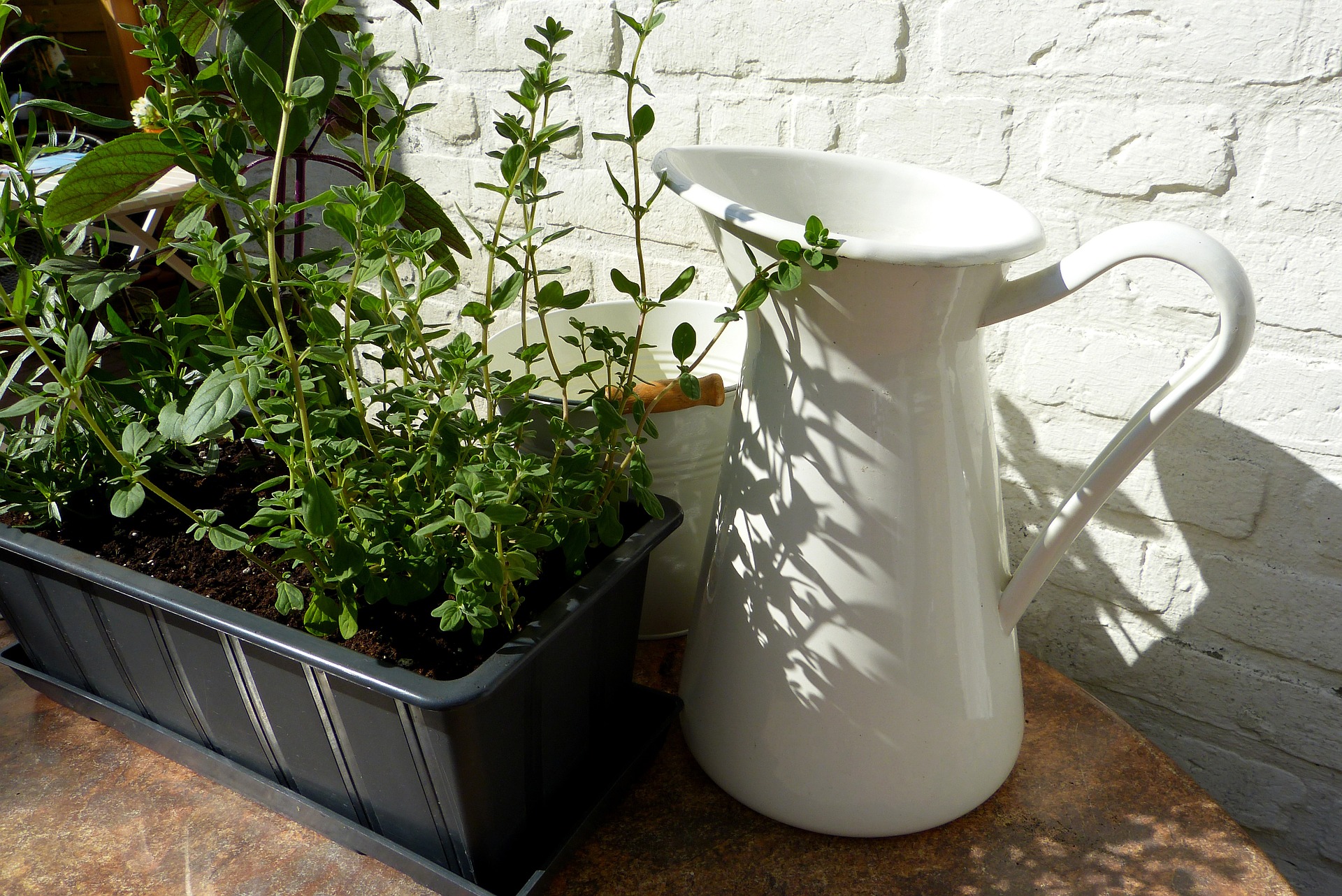 4 Themed Container Gardens to Up Your Gardening Game