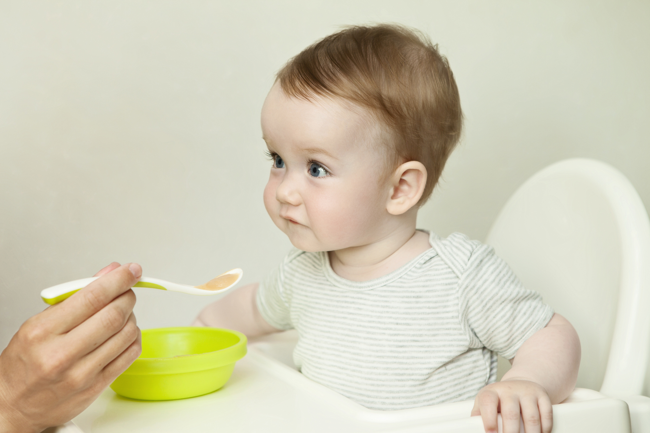introduce babies to food allergens