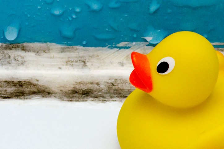 What You Need to Know About Mold & Bath Toys