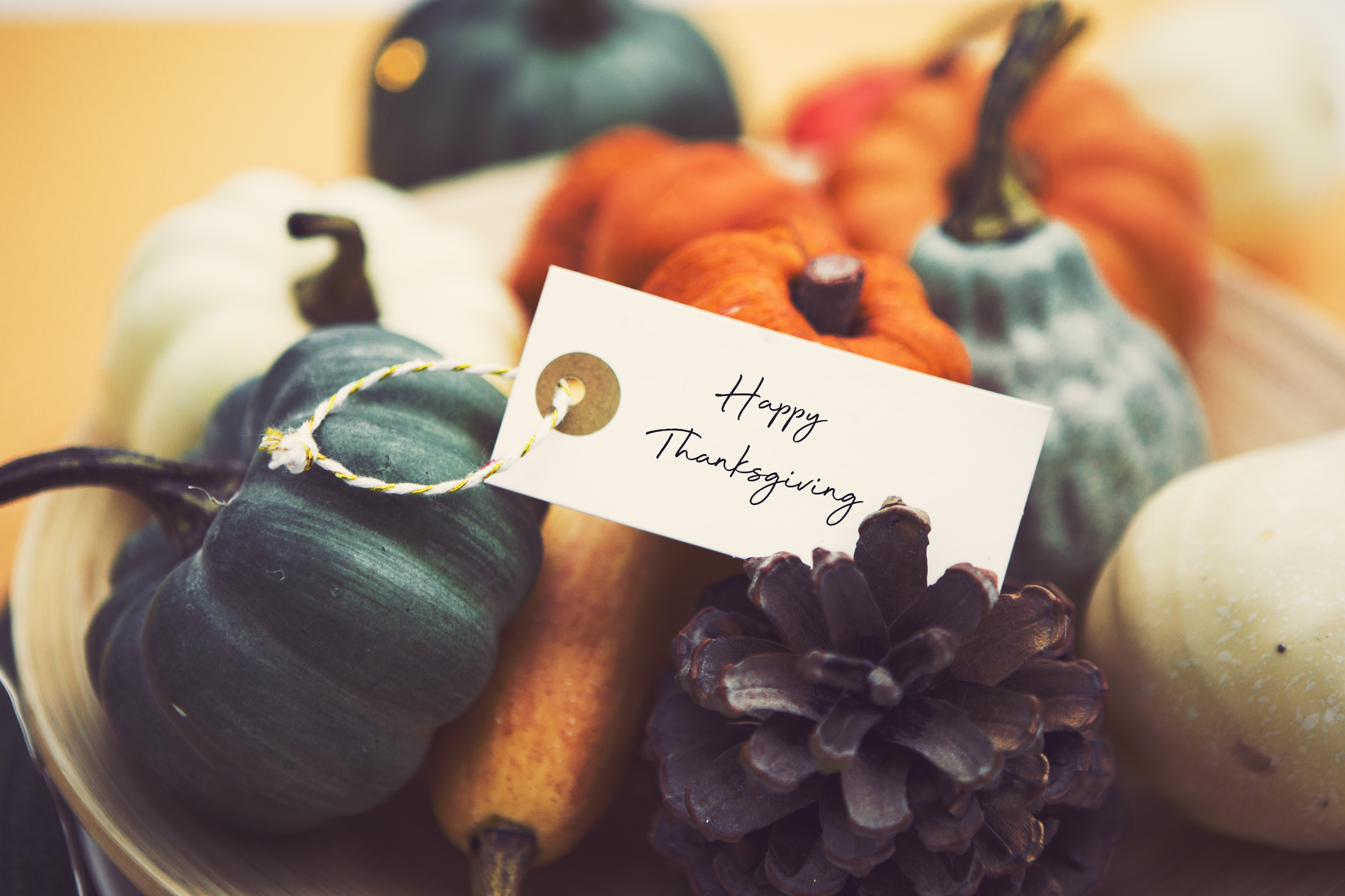 thanksgiving