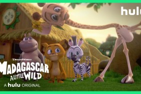 madagascar a little wild