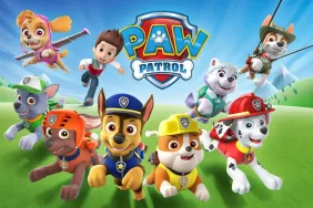 dog breeds of the paw patrol characters