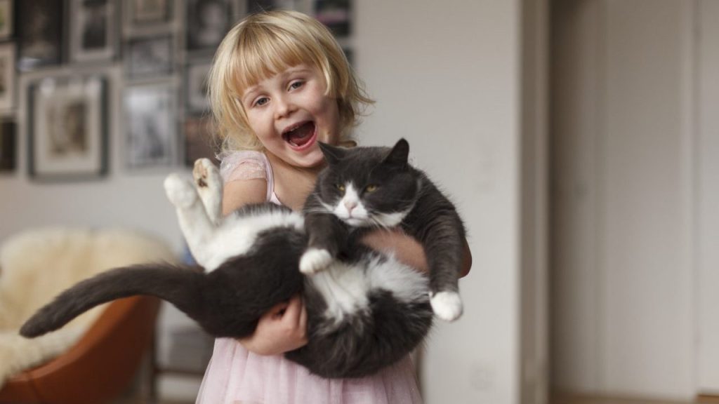 young blonde girl holding cat how to teach children to be gentle with cats