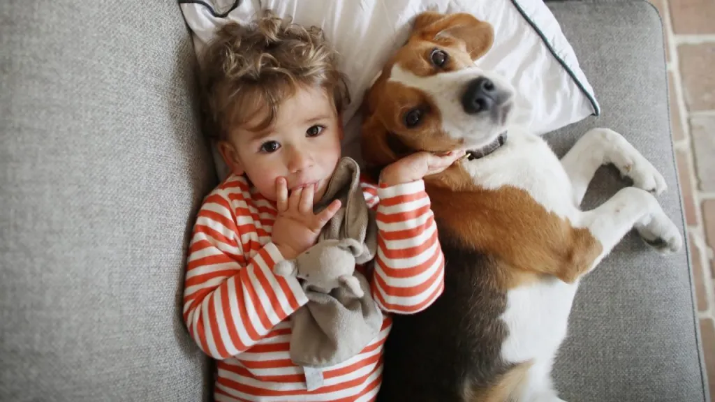 small child cuddling with beagle dog how to teach children to be gentle with dogs
