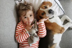 small child cuddling with beagle dog how to teach children to be gentle with dogs