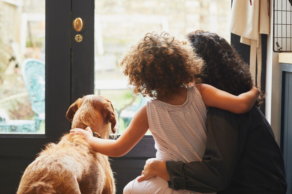 How to create a strong bond between your child and a new pet