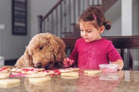 Little girl decorating cookies while dog eat them