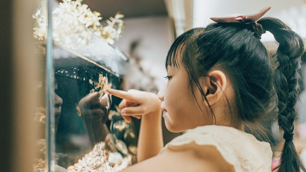 Girl touching a fish tank