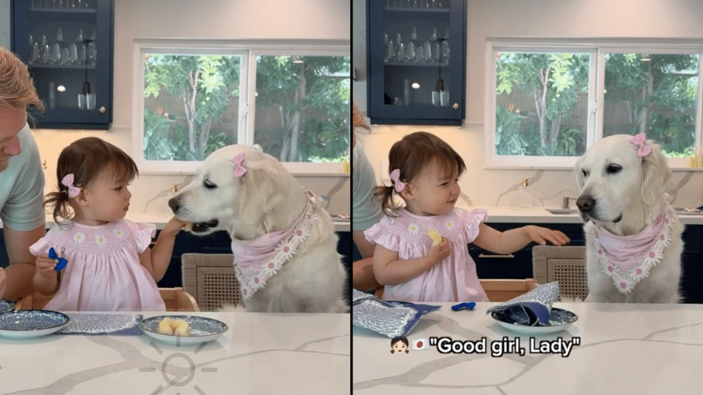 toddler share apple with dog
