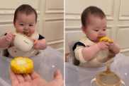 baby corn on the cob