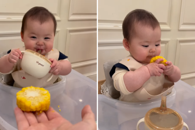 baby corn on the cob