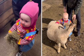 toddler sheephouse visit video
