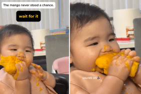 baby mango video