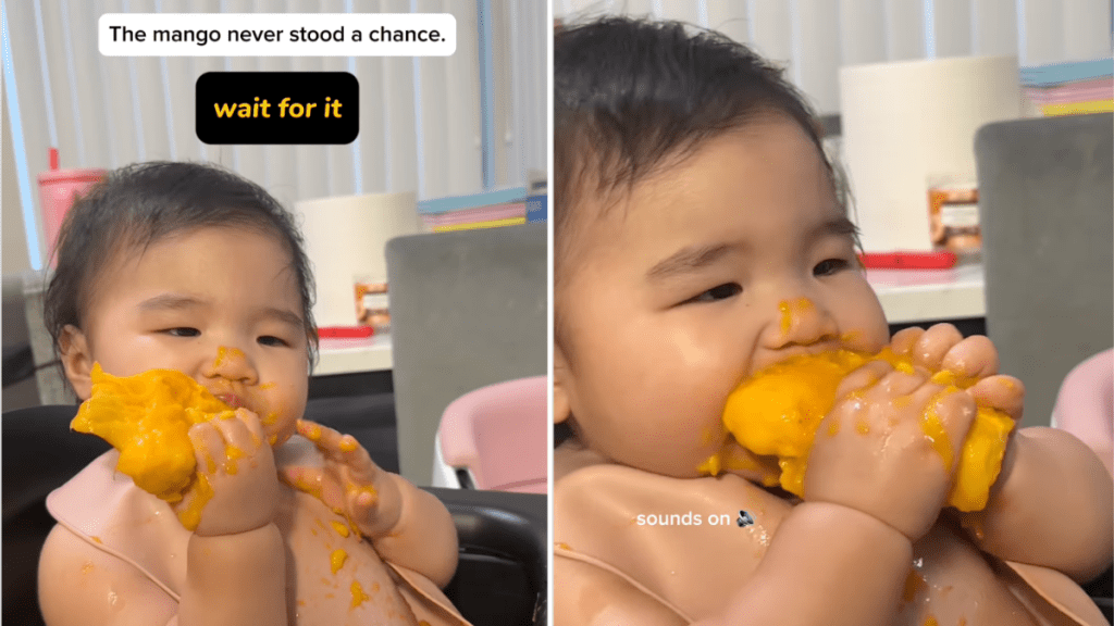 baby mango video